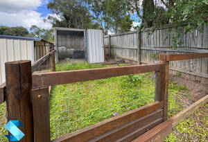 4 bedroom home nestled in the heart of Benaraby, QLD image 23