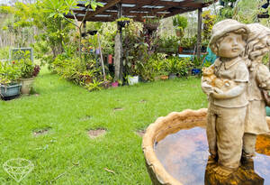 Tranquil Country Living on 19 Acres image 3