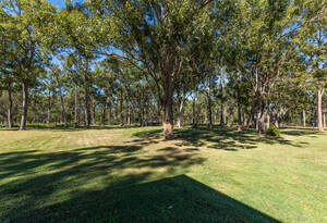 Luxury meets coastal living in this stunning 3-bed, 2-bath house in Moore Park Beach. Enjoy the pool, sheds, and study, with A/C for ultimate comfort. image 24