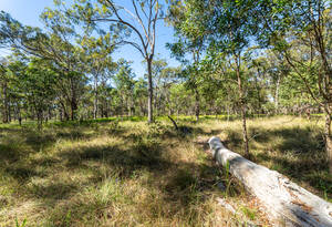 Luxury meets coastal living in this stunning 3-bed, 2-bath house in Moore Park Beach. Enjoy the pool, sheds, and study, with A/C for ultimate comfort. image 27