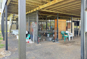 Endless Potential image 16