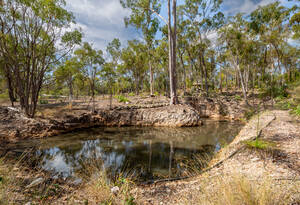 Stand out from the rest- in this unique home in South Bingera..Don't miss this opportunity to create your perfect space. image 21