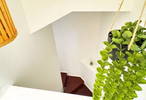 Live the ultimate beach lifestyle in this 2 bedroom, 3 bathroom townhouse in Moore Park Beach! image 17