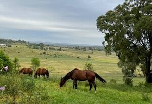 Built for Horses - Ready for You image 3