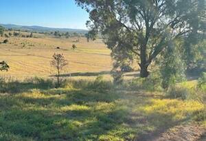 Built for Horses - Ready for You image 4