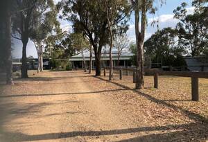 Built for Horses - Ready for You image 5