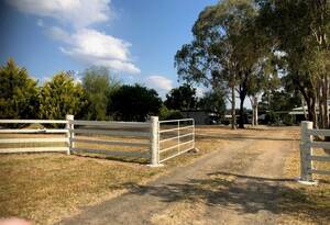 Built for Horses - Ready for You image 6