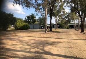 Built for Horses - Ready for You image 2