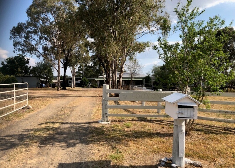 Built for Horses - Ready for You feature image