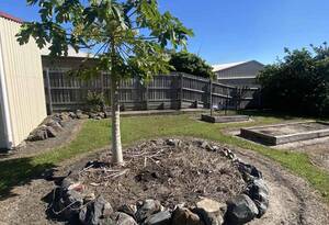 Your Perfect Start: Affordable Living at 55 Scottland Street image 5