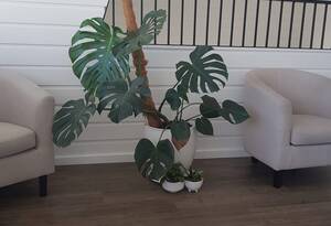 Ready-to-Use Office Space in Bundaberg Central image 3