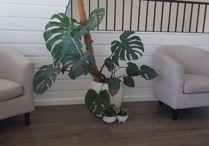 Ready-to-Use Office Space in Bundaberg Central image 3