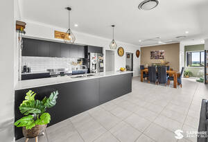 🌴 Qunaba Lifestyle - Half an Acre, Shed/Workspace, Beach Moments Away image 8